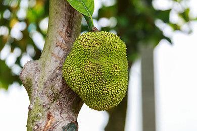 索尼新专利：游戏角色口型能同步不同语言